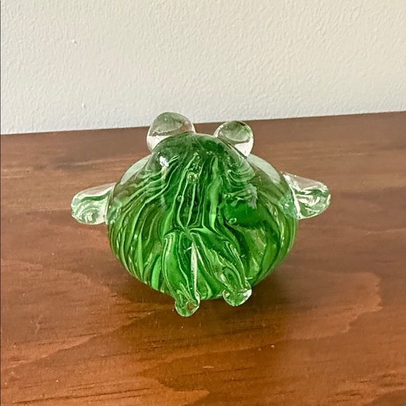 Glass Frog - Picture 3 of 9